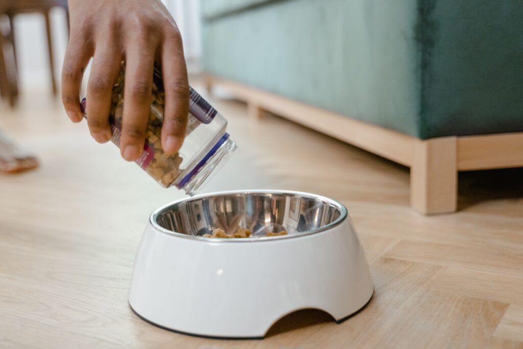 Puppy food being served in a puppy bowl.